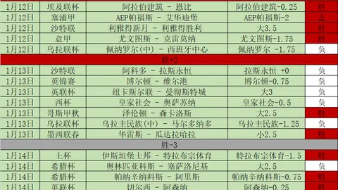 谢周三主帅罗尔有望接棒范尼，南安普顿同样感兴趣